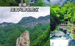 重庆金佛山旅游攻略，如何玩转这座美丽的山城？