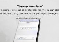 小米11青春版应用分身怎么打开？双开设置方法详解