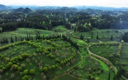 凤冈风景区