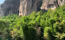 武义寿仙谷风景区门票