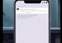 oppo手机下载应用商店找不到怎么办？