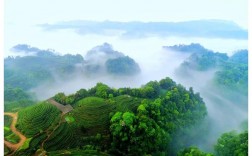 蒙顶山风景区