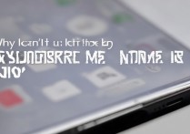 vivo x6显示网络用不了怎么回事