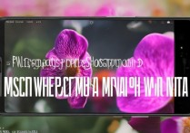 华为nova拍微距怎么拍？新手也能掌握的微距技巧