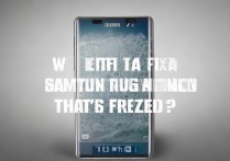 三星手机开机死机了怎么办啊，三星手机开机死机怎么解决