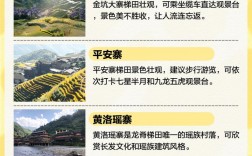 龙脊金坑梯田旅游攻略，如何规划一次完美的旅行体验？