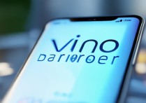 vivo浏览器下载