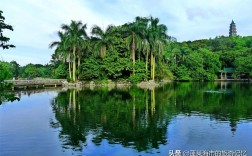 良凤江风景区