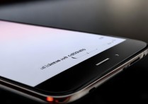 vivo 手机怎么知道型号