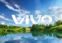 vivo手机壁纸