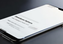 oppo手机开发者选项在哪