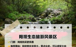 阳坝旅游攻略如何规划一次完美的阳坝之旅？