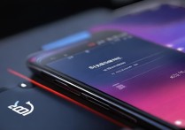 小米9搭载骁龙855，安兔兔跑分具体是多少？