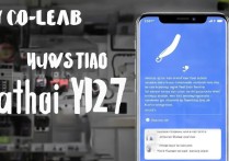 vivoy927怎么直接刷机？新手操作步骤详解