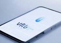 vivo网速慢
