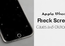 苹果手机死机黑屏怎么办？原因和解决方法是什么？