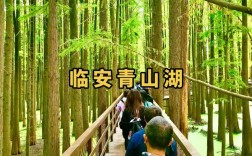 临安青山湖旅游攻略，如何规划一次完美的旅行？