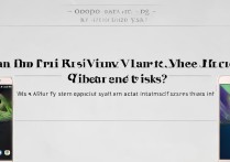 oppor9能刷vivo系统吗？具体步骤和风险是什么？