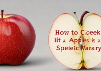 苹果手机怎么查具体是苹果几型号？