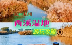 如何制定完美的西溪湿地旅游攻略？