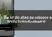 Redmi K70至尊版如何更换壁纸？