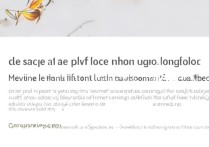 华为畅享5如何开启数据连接？详细步骤在这里