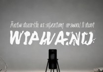 苹果手机怎么拍广角？附详细教程与技巧！