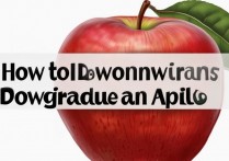 苹果怎么样降级？苹果系统降级教程详细步骤