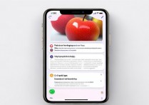苹果通知怎么设置？iOS通知管理技巧详解