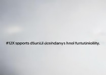 小米12X是否支持双卡双待功能？