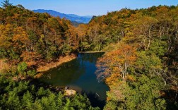 森林风景区