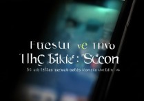 苹果6s屏幕图标字体怎么缩小？设置方法详解！