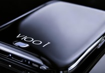 vivo79