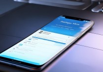 vivo 开发者模式