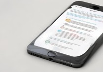 苹果5如何设置才能用上4G网络？