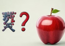 苹果验证怎么关闭时间戳？苹果验证时间戳关闭方法教程