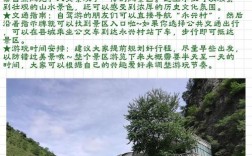 白银坨旅游攻略，如何规划一次完美的旅行体验？