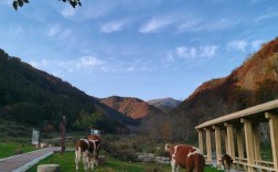 怎样游七里峪风景区