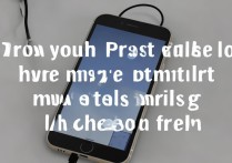 苹果6s充电接不了电话怎么回事啊