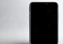 苹果手机半边屏幕黑屏了，自己能修吗？