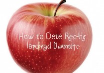 苹果怎么删除刚才使用过的动态？苹果动态怎么彻底清除