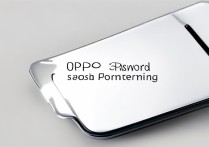 oppo密码格式化