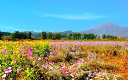 怀柔百合谷风景区