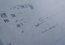 苹果5s还原后激活失败怎么办？解决方法有哪些？