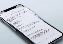 苹果6s如何设置中文输入法？详细步骤在这里！