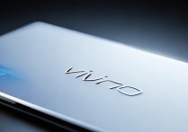 vivo年报