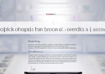 oppo手机忘记密码怎么解锁？官方方法有哪些？