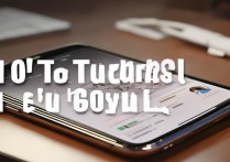 苹果6plus怎么刷机要密码吗，刷机密码忘记了怎么办