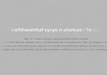 vivo手机如何安全降级系统版本？