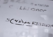 三星怎么开发者选项在哪里，三星手机开发者选项如何打开